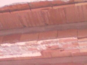 PellegrinoCostruzioni_Ristrutturazione_Lavori di sbancamento_Novoli (11)