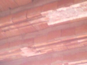PellegrinoCostruzioni_Ristrutturazione_Lavori di sbancamento_Novoli (12)
